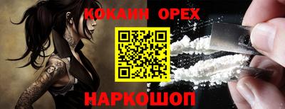 крисы Аргун