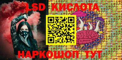 крисы Аргун