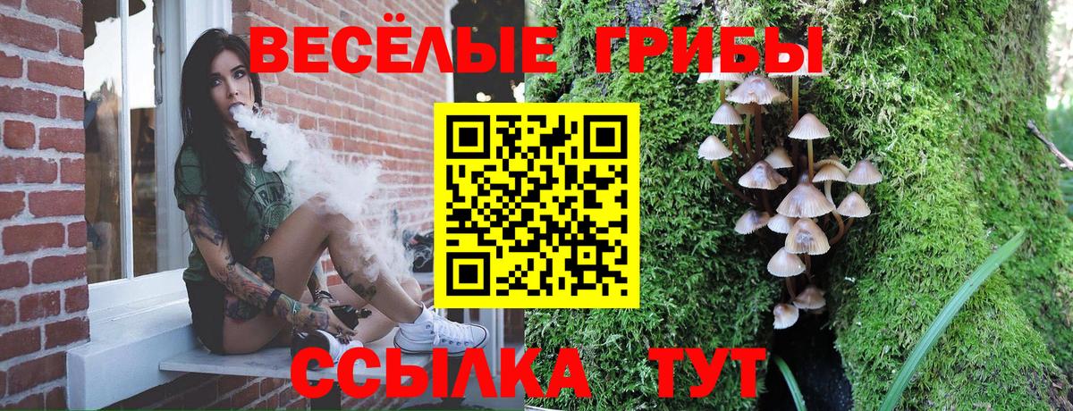 Псилоцибиновые грибы GOLDEN TEACHER  что такое   Верхний Уфалей  Вход с VPN 